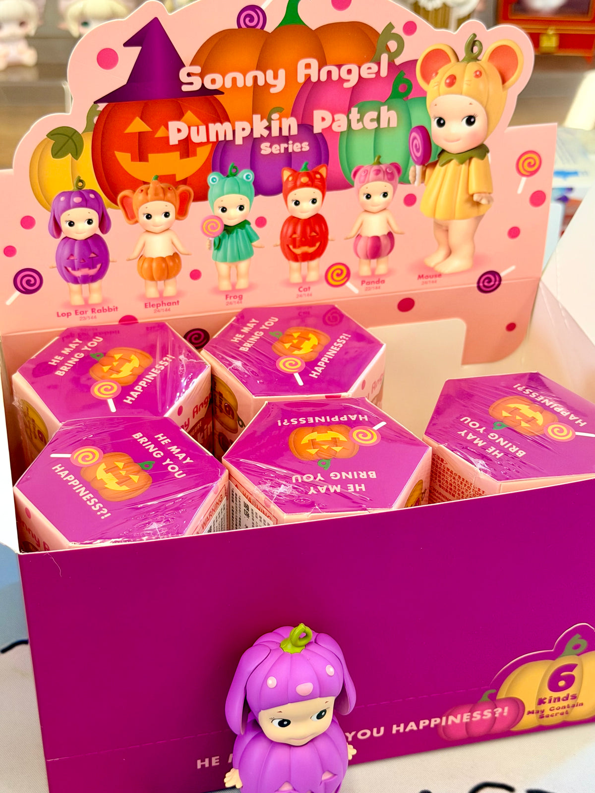 【143】Sonny Angel - Pumpkin Patch Series Mystery Box Blind Box Toy Figure